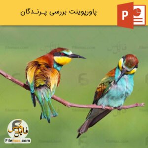 پاورپوینت درباره پرندگان و بررسی آنها