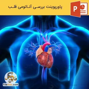 پاورپوینت آناتومی قلب