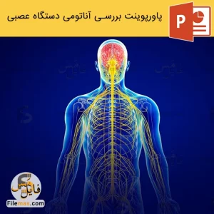 پاورپوینت آناتومی دستگاه عصبی انسان