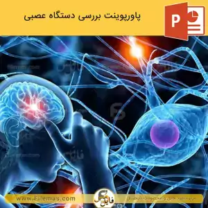 پاورپوینت دستگاه عصبی انسان