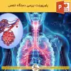 پاورپوینت دستگاه تنفسی انسان