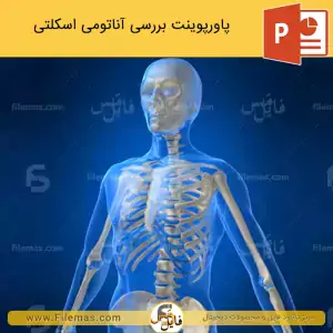 پاورپوینت آناتومی اسکلتی