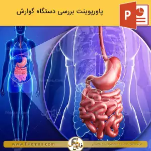 پاورپوینت دستگاه گوارش انسان