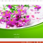 قالب پاورپوینت اینفوگرافیک گل