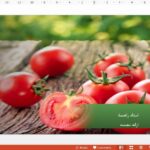 قالب پاورپوینت گوجه فرنگی حرفه ای