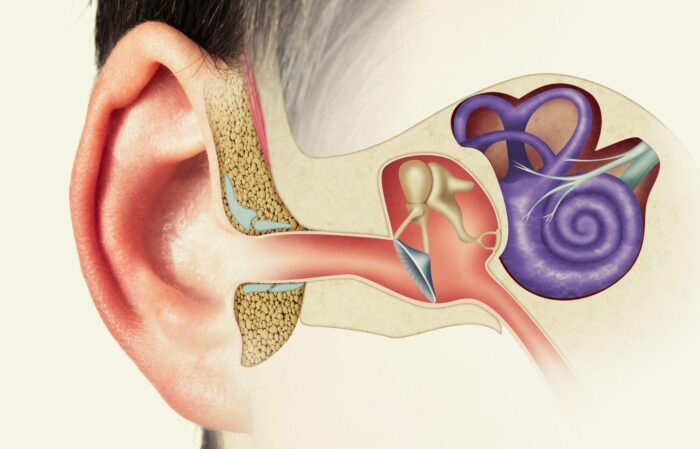 پاورپوینت درمان بیماری های گوش