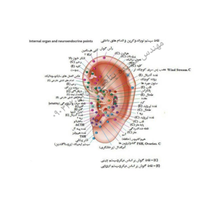 فایل pdf آموزش تشخیص بیماری ها از روی گوش