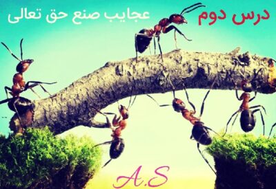 پاورپوینت درسنامه فارسی نهم درس دوم (عجایب صنع حق تعالی)