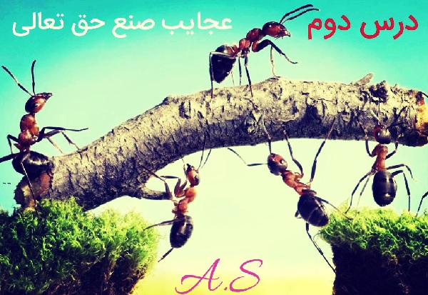 پاورپوینت درسنامه فارسی نهم درس دوم (عجایب صنع حق تعالی)