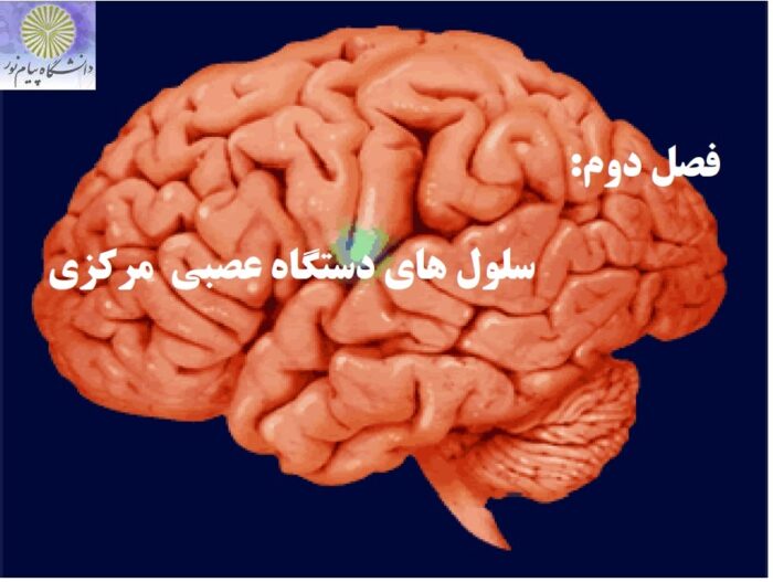طرح درسی کتاب روانشناسی فیزیولوژیک پیام نور