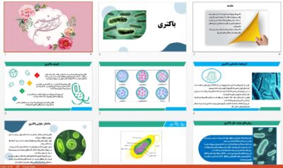 دانلود جذاب ترین پاورپوینت باکتری