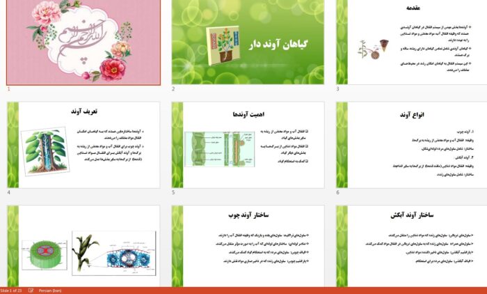 دانلود جذاب ترین پاورپوینت گیاهان آونددار