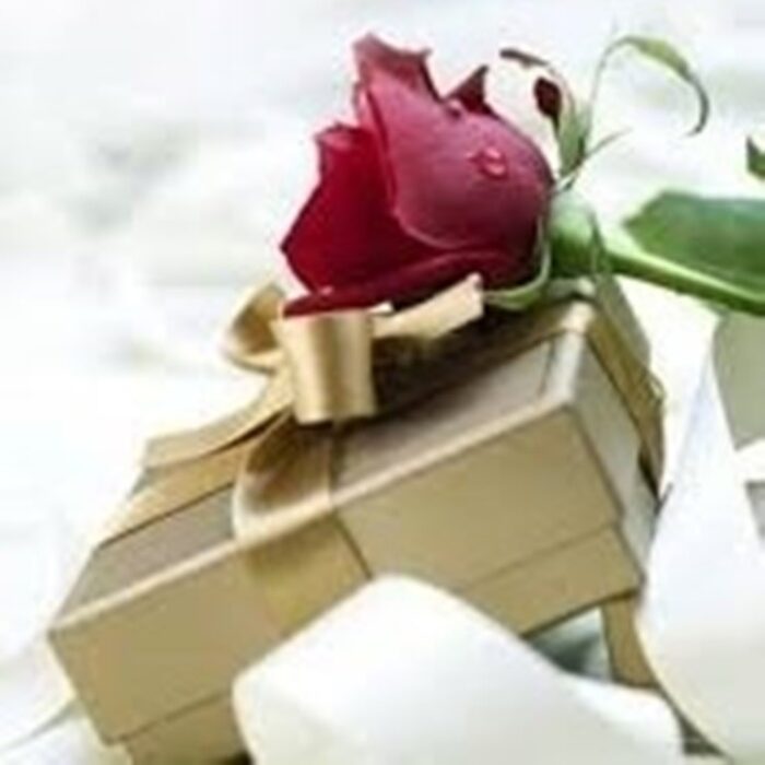 خلاصه کتاب هوش هیجانی نوین