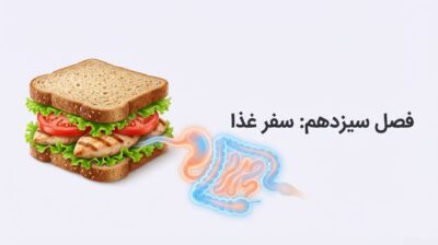 دانلود درسنامه فصل 13 سفر غذا – علوم هفتم