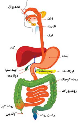 دانلود پاورپوینت بررسی مسکن ها و ضد التهاب