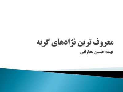 پاورپوینت معروف ترین نژادهای گربه