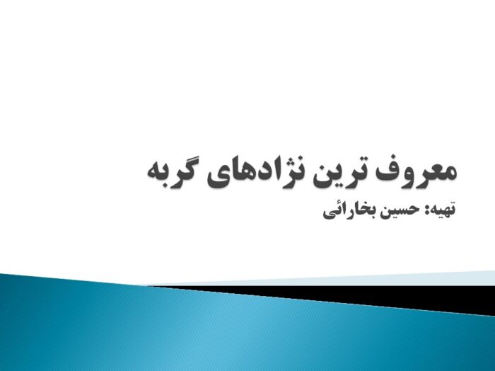 پاورپوینت معروف ترین نژادهای گربه