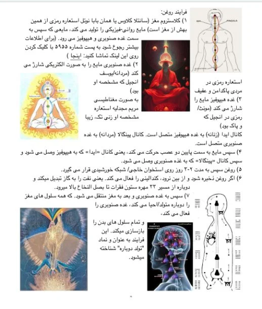 کتاب کدگشایی حکمت قرن